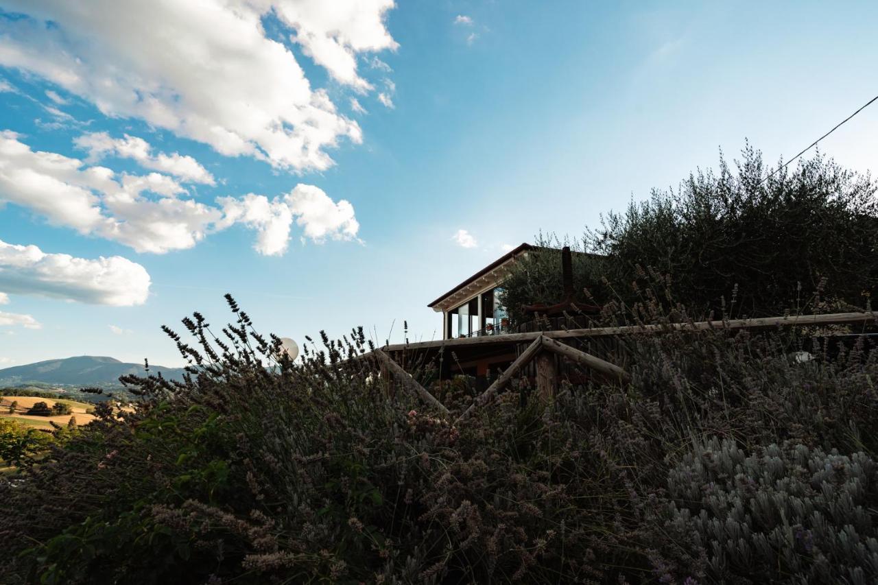Il Pozzo Country House Collescipoli 외부 사진
