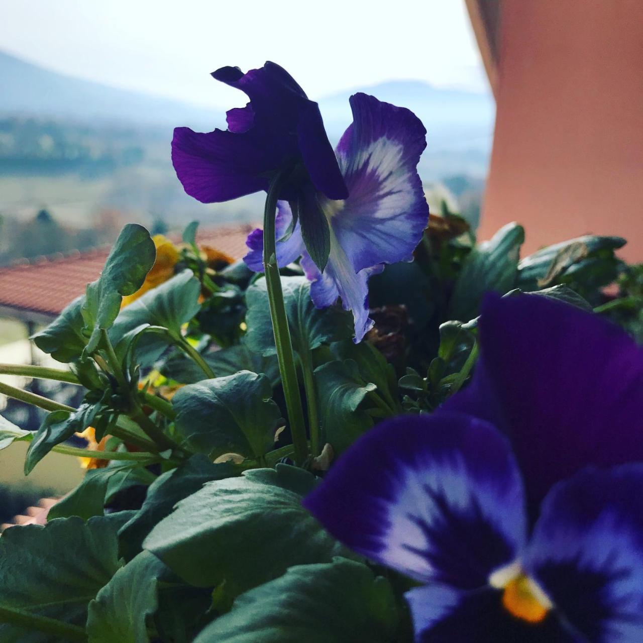 Il Pozzo Country House Collescipoli 외부 사진